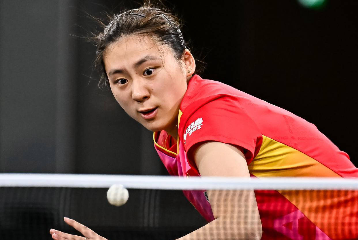 董志豪在预 董志豪在预