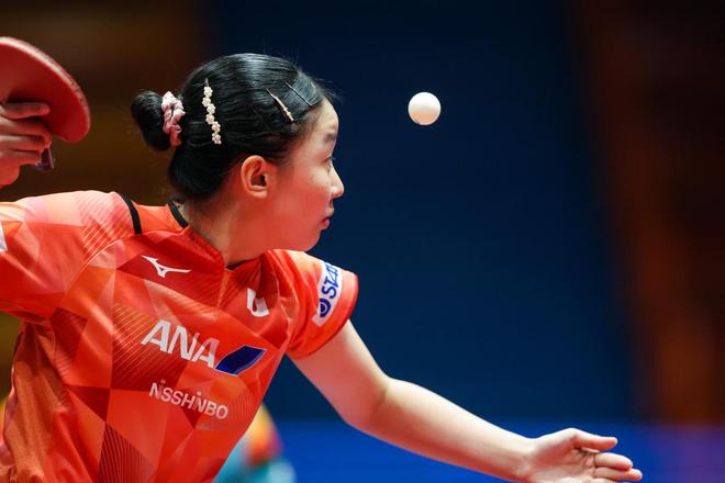 术亦不乏应 术亦不乏应