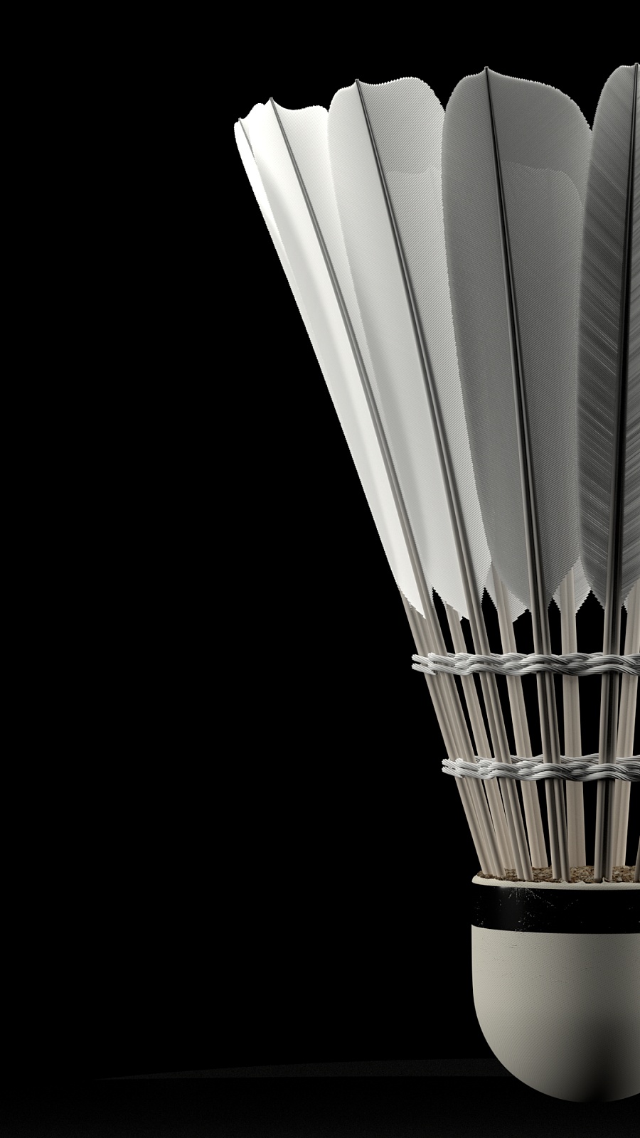 在绿茵场上 在绿茵场上