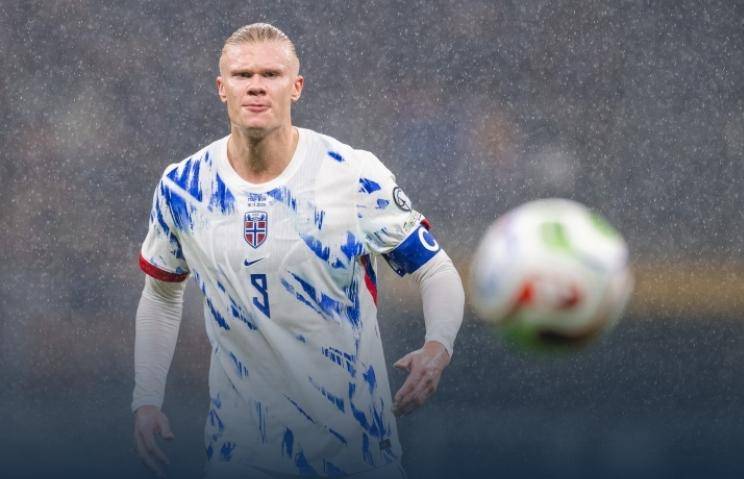 你来我往 你来我往